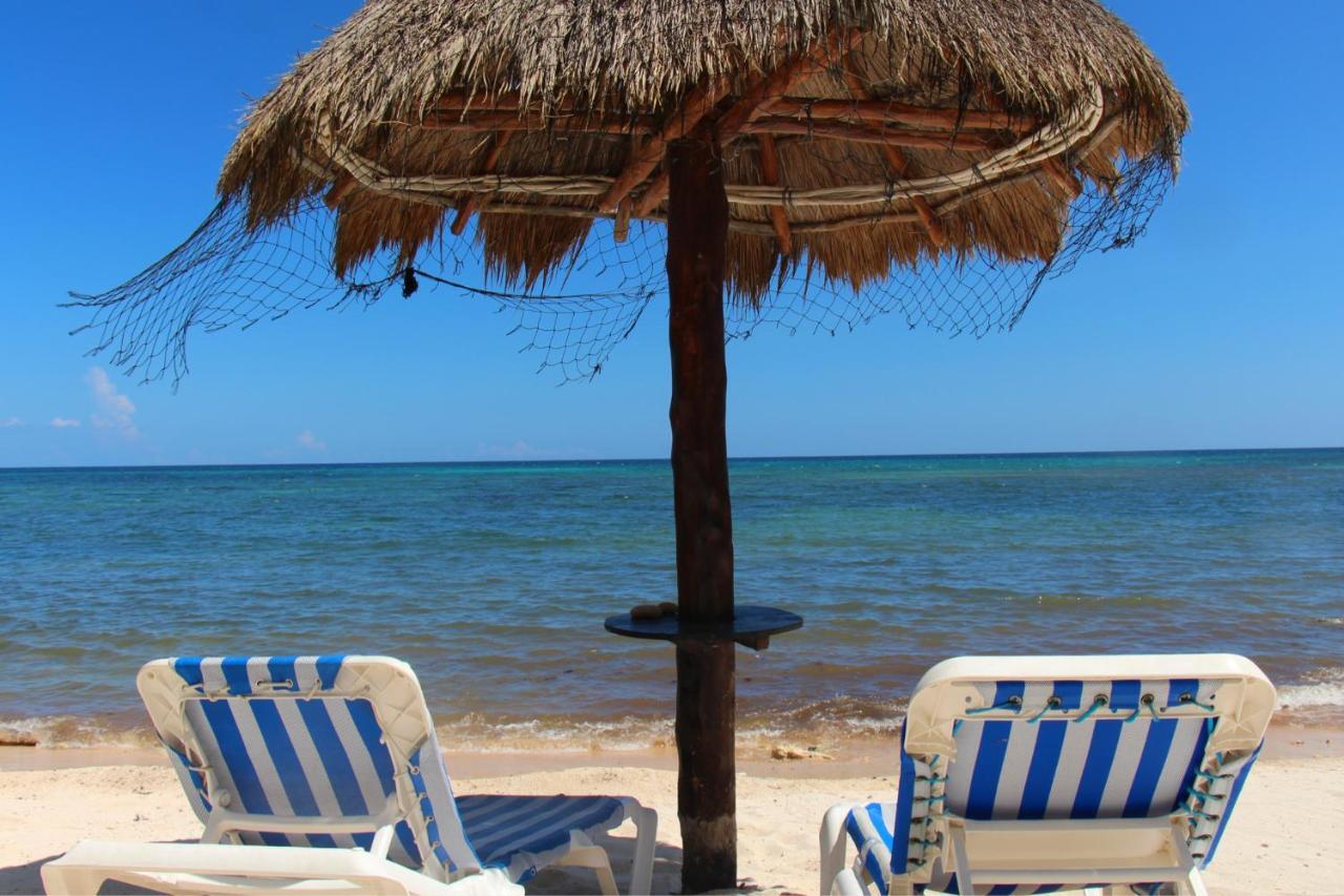 Beautiful & Cozy Studio In Akumal Paradise-Wifi, Ac Экстерьер фото