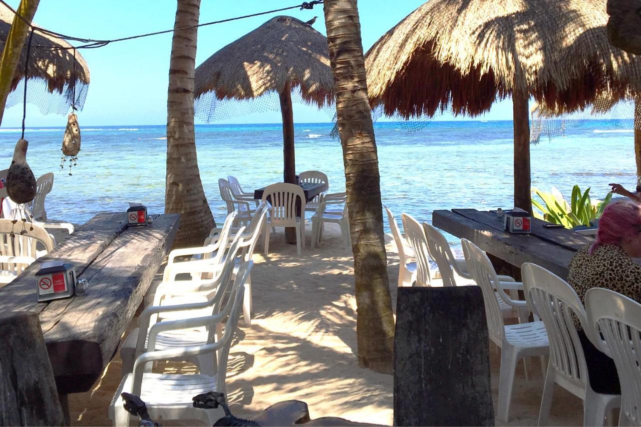 Beautiful & Cozy Studio In Akumal Paradise-Wifi, Ac Экстерьер фото