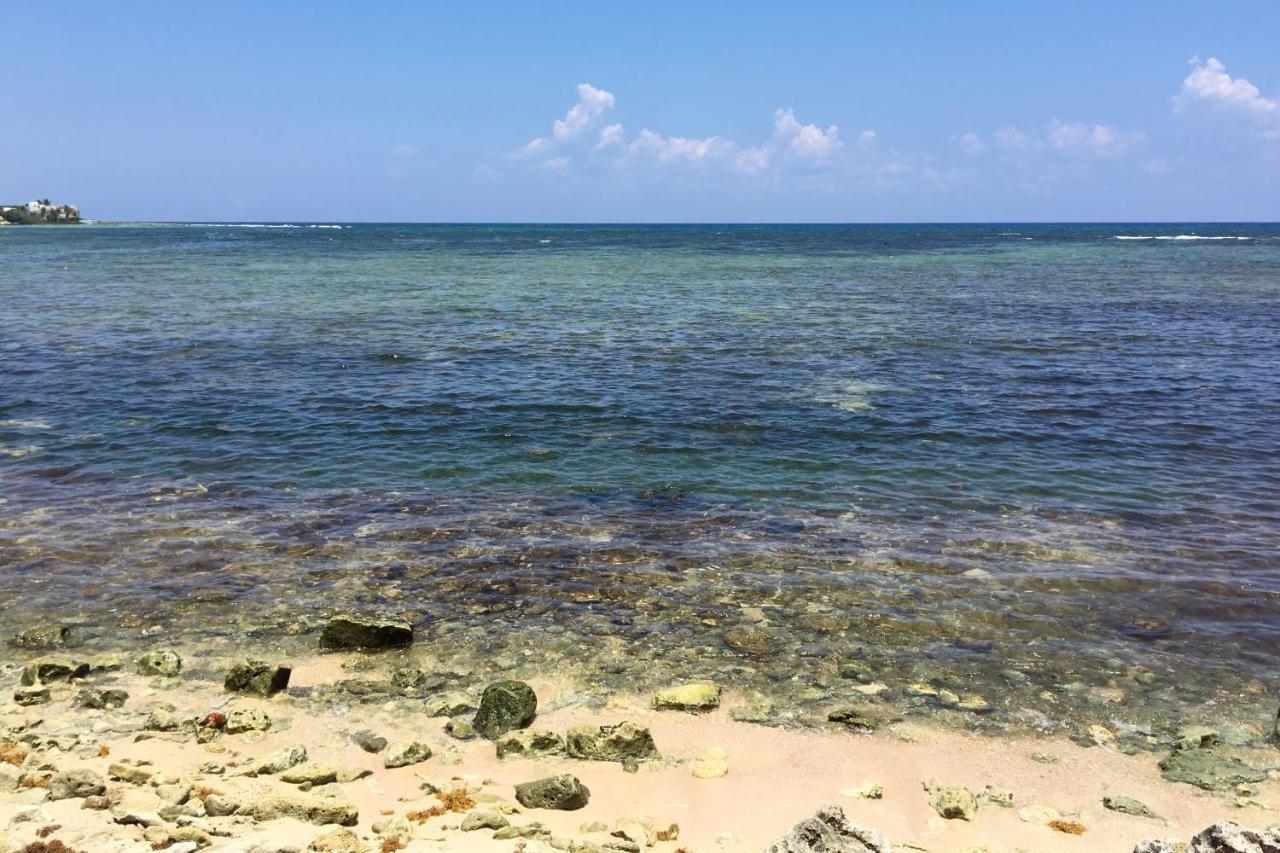 Beautiful & Cozy Studio In Akumal Paradise-Wifi, Ac Экстерьер фото