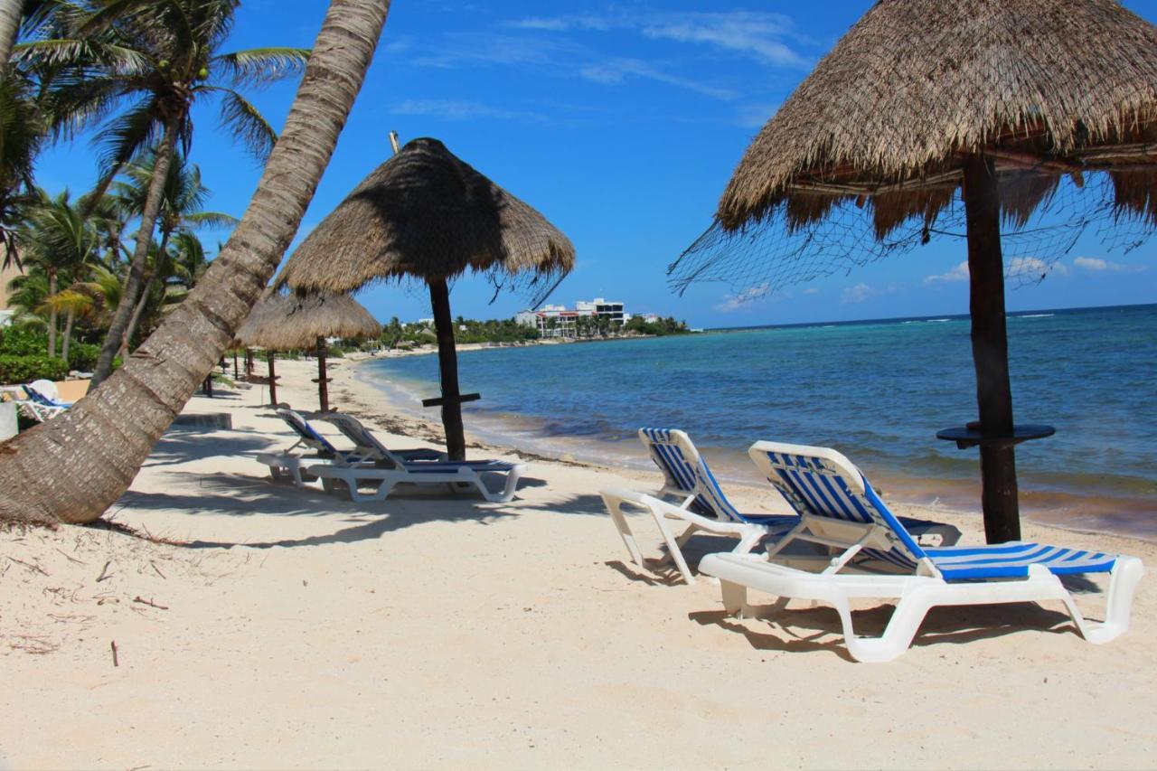 Beautiful & Cozy Studio In Akumal Paradise-Wifi, Ac Экстерьер фото